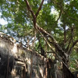 Taipa Village - Macao