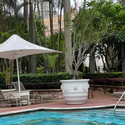 The Venetian Macao - Macao