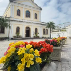 Carmel Garden - Taipa