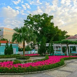 Carmel Garden - Taipa