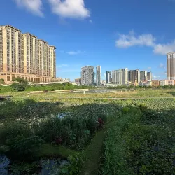 Carmel Garden - Taipa