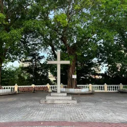 Our Lady of Carmel Church - Taipa