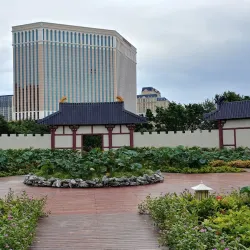 Taipa Houses-Museum - Taipa