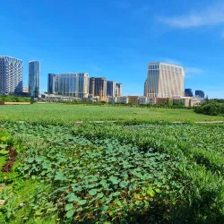 Taipa Houses-Museum - Taipa