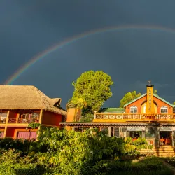 Sahambavy Tea Plantation - Ambalavao