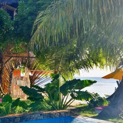 Cultural Festivals and Events - Ambodifototra