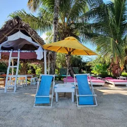 Cultural Festivals and Events - Ambodifototra