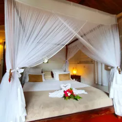 Cultural Festivals and Events - Ambodifototra