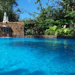 Cultural Festivals and Events - Ambodifototra