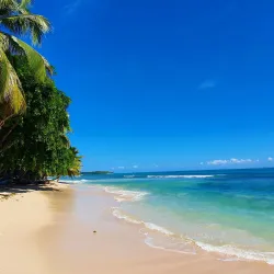 Cultural Festivals and Events - Ambodifototra