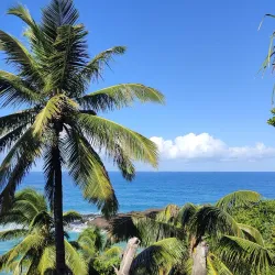 Cultural Festivals and Events - Ambodifototra