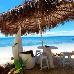 Cultural Festivals and Events - Ambodifototra