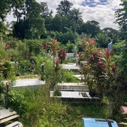 Local Churches and Religious Sites - Ambodifototra