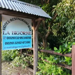 Local Cuisine Experiences - Ambodifototra