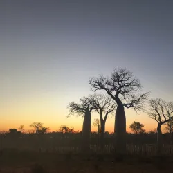 Nearby Natural Reserves - Ambodifototra