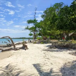 Nearby River Excursions - Ambodifototra