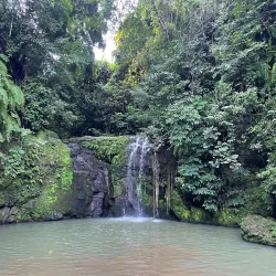 Scenic Walking Trails - Ambodifototra