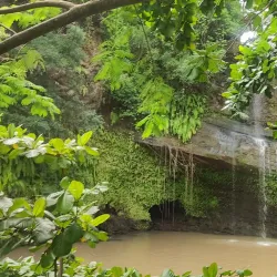 Scenic Walking Trails - Ambodifototra