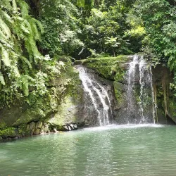 Scenic Walking Trails - Ambodifototra