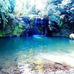 Scenic Walking Trails - Ambodifototra