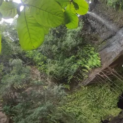 Scenic Walking Trails - Ambodifototra