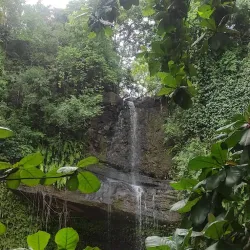 Scenic Walking Trails - Ambodifototra