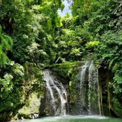 Scenic Walking Trails - Ambodifototra