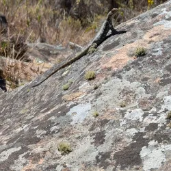 Andringitra National Park - Ambositra