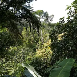 Hiking Trails Around Ambositra - Ambositra