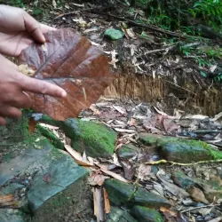 Hiking Trails Around Ambositra - Ambositra