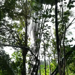 Hiking Trails Around Ambositra - Ambositra