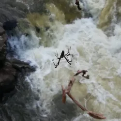 Hiking Trails Around Ambositra - Ambositra