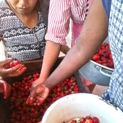 Local Restaurants and Eateries - Ambositra