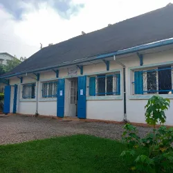 Zafimaniry Woodcarving Workshops - Ambositra