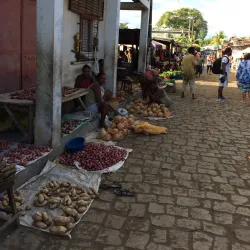 Dzamandzar Village - Andoany