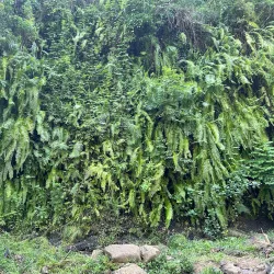 Lighthouse of Nosy Be - Andoany