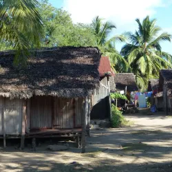 Lokobe Reserve - Andoany