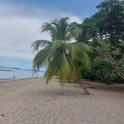 Nosy Be Marine Reserve - Andoany