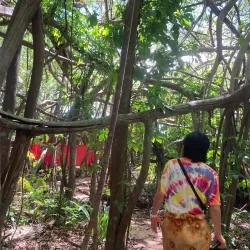 Sacred Tree of Mahatsinjo - Andoany