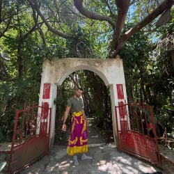 Sacred Tree of Mahatsinjo - Andoany