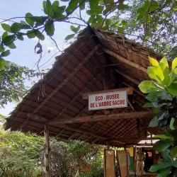 Sacred Tree of Mahatsinjo - Andoany