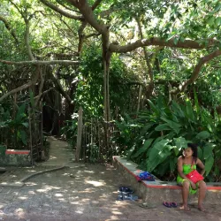 Sacred Tree of Mahatsinjo - Andoany