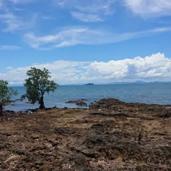 Sacred Tree of Mahatsinjo - Andoany