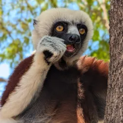 Lac Sacré (Sacred Lake) - Nosy Be
