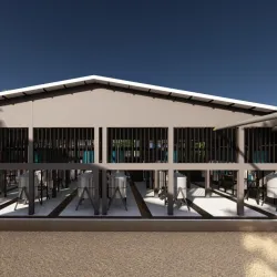 Ylang-Ylang Plantations - Nosy Be