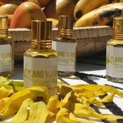 Ylang-Ylang Plantations - Nosy Be