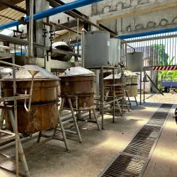 Ylang-Ylang Plantations - Nosy Be