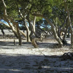 Anakao Beach - Toliara