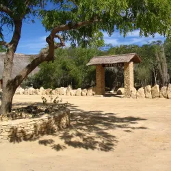 Arboretum d'Antsokay - Toliara
