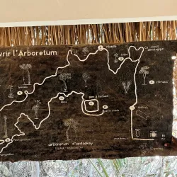 Arboretum d'Antsokay - Toliara